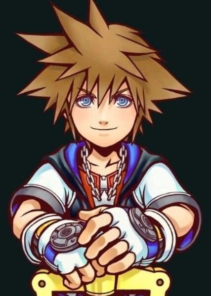 Sora photo