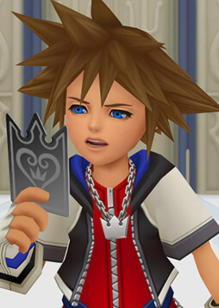 Sora photo