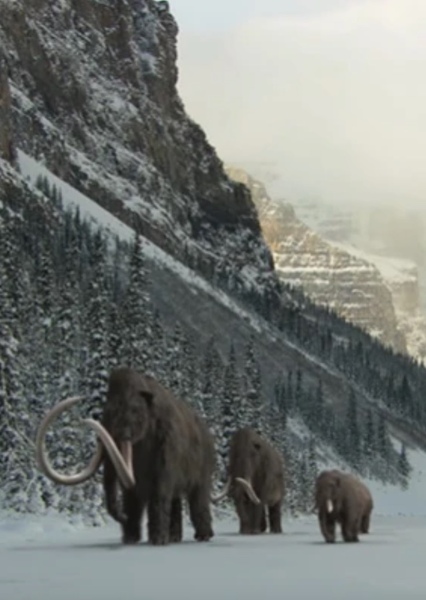 Sound Ideas, ANIMAL, ELEPHANT - MANY ELEPHANTS IN A HERD