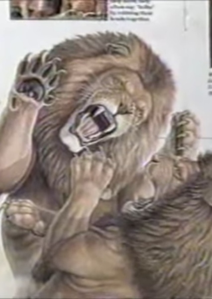 Sound Ideas, Animals - Isolated lion roar 04 photo