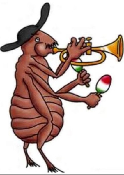 Spanish Flea