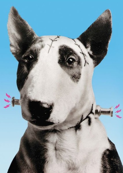 Sparky (Frankenweenie)