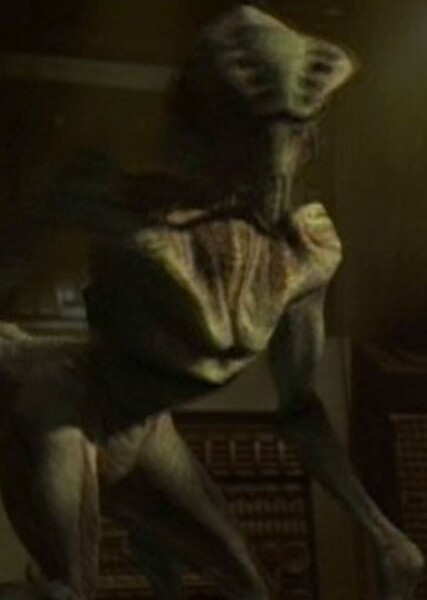Species 8472