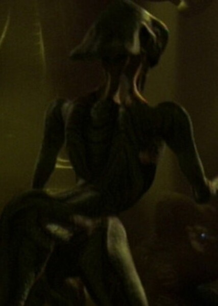 Species 8472