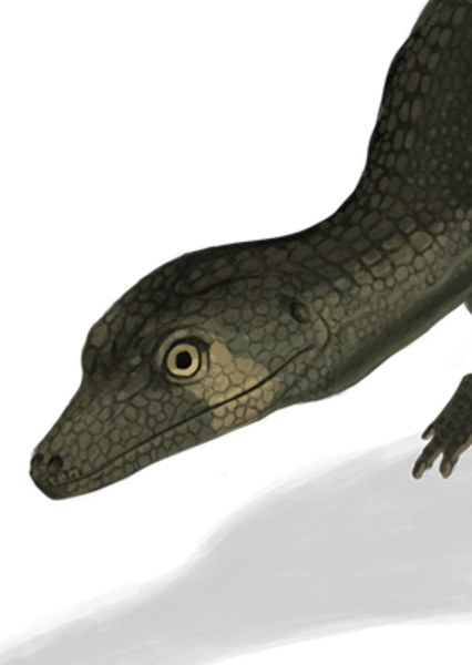 Sphenosuchus photo