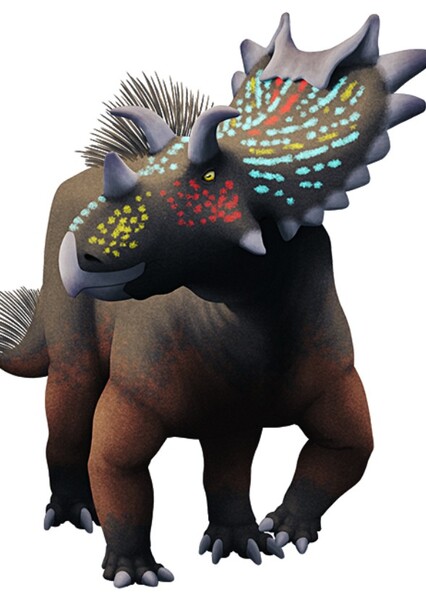 Spiclypeus