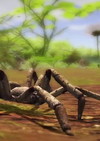 Spider photo