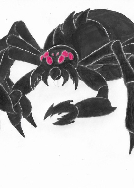 Spider Crab photo