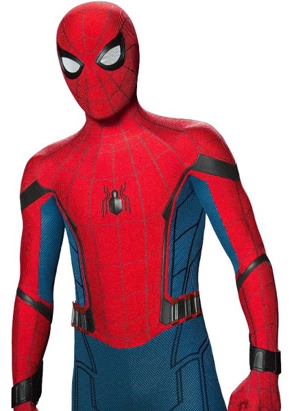 Spider-Man (Peter Parker) photo