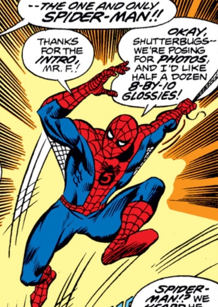 Spider-Man (Peter Parker) photo