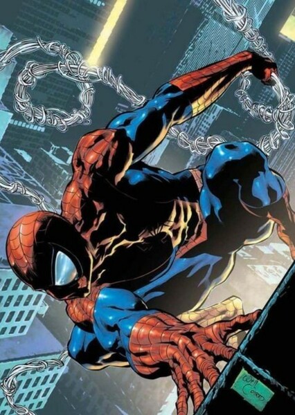 Spider-Man (Peter Parker) photo