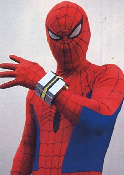 Spider-Man (Peter Parker) photo
