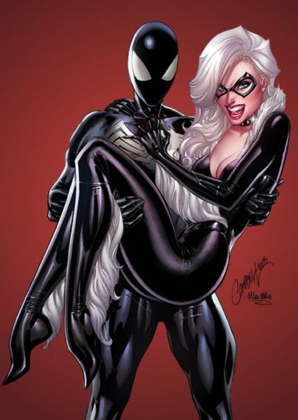 Spider-Man and Black Cat photo