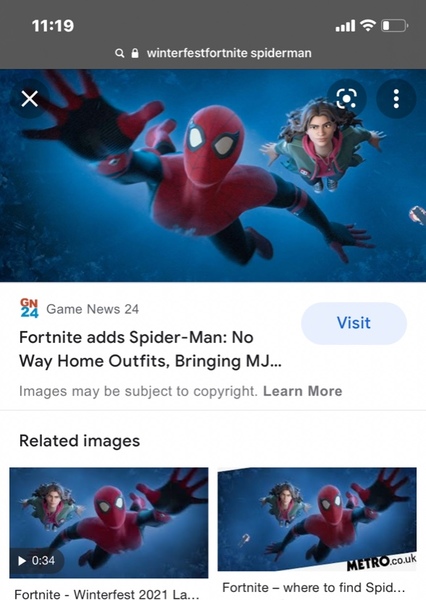 spider-man (earth fortnite) photo