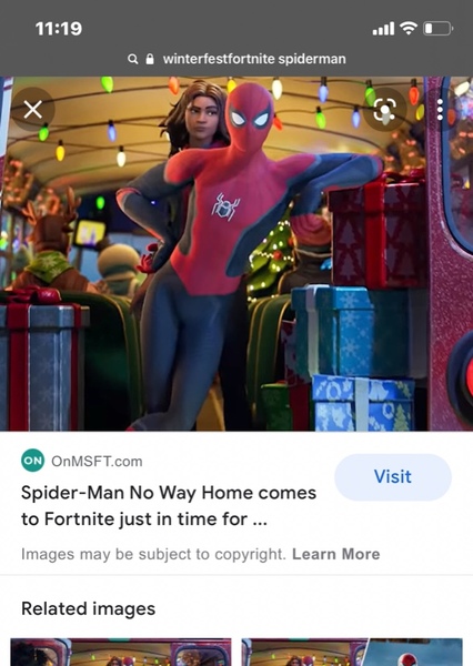 spider-man (earth fortnite) photo