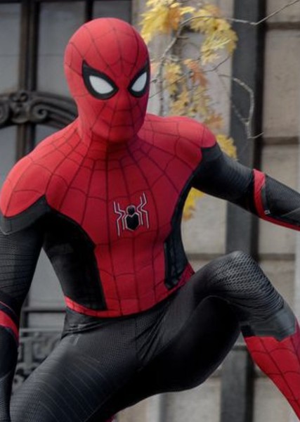 Spider-Man (MCU) photo
