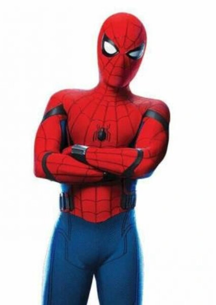 Spider-Man photo