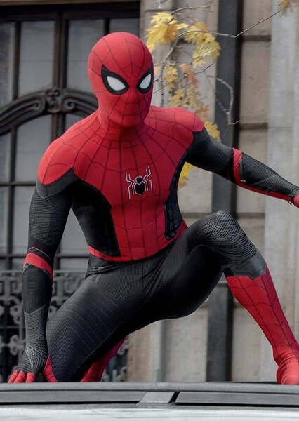 Spider-Man photo