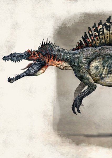 Spinosaurus photo