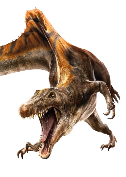 Spinosaurus photo
