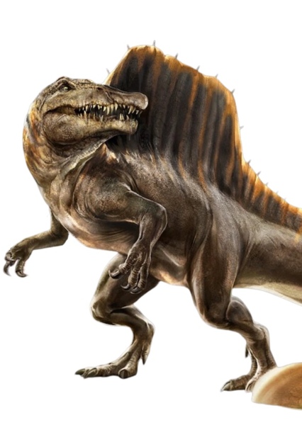 Spinosaurus photo