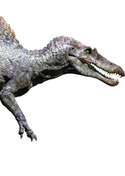 Spinosaurus photo