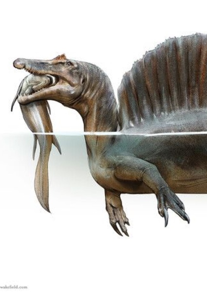Spinosaurus photo