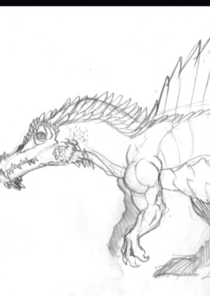 Spinosuchosaurus photo