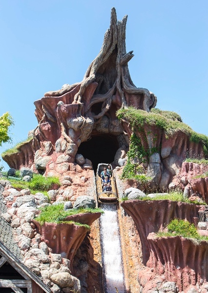 Splash Mountain photo