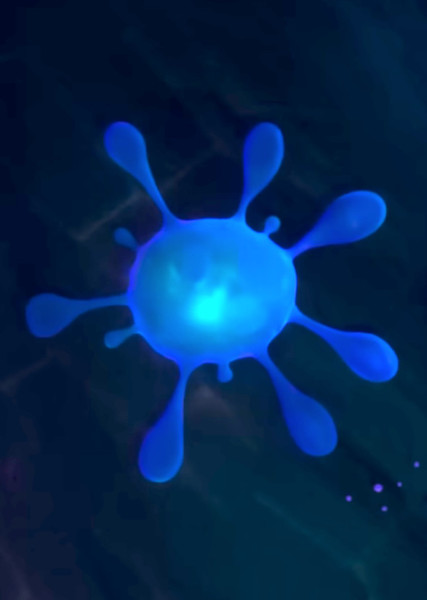 Splat photo