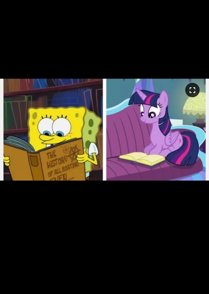 SpongeBob Squarepants and Twilight Sparkle photo