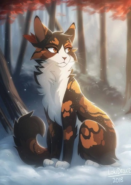 Spottedleaf (Warrior Cats) photo
