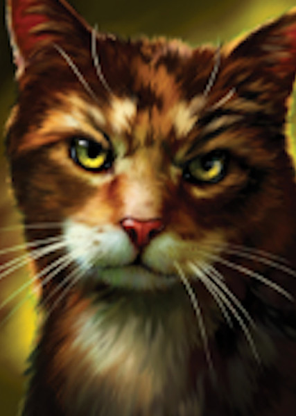 Spottedleaf (Warrior Cats) photo