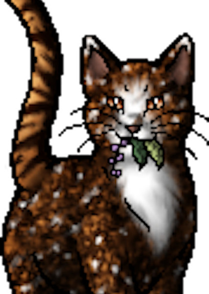 Spottedleaf (Warrior Cats)