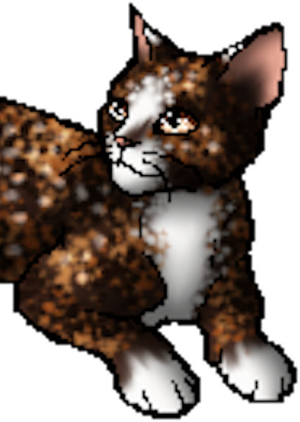 Spottedleaf (Warrior Cats) photo