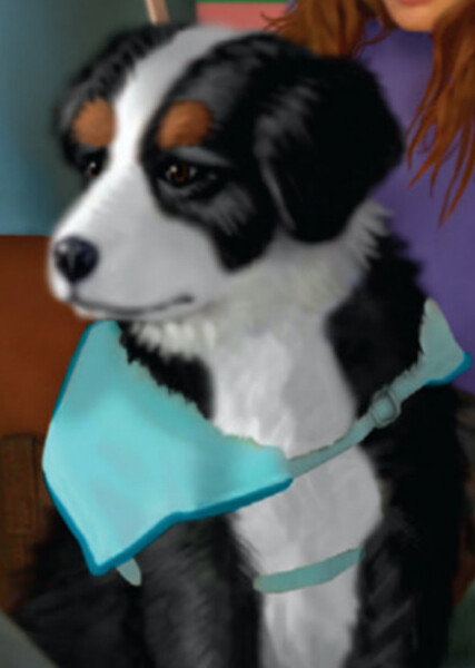 Sprocket (American Girl) photo