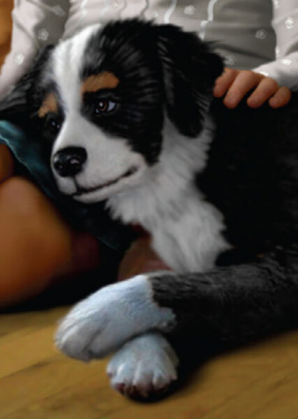 Sprocket (American Girl) photo