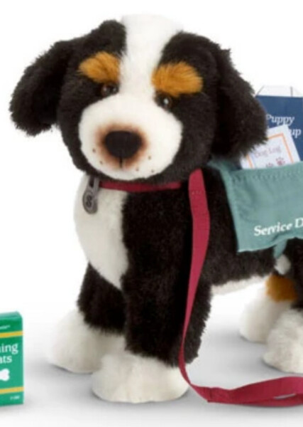 Sprocket (American Girl) photo