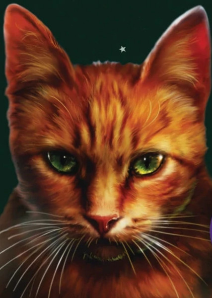 Squirrelflight (Warrior Cats) photo