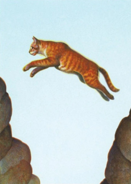 Squirrelflight (Warrior Cats) photo