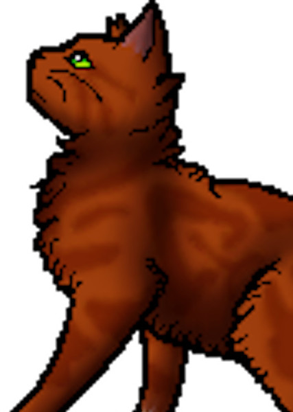 Squirrelflight (Warrior Cats) photo