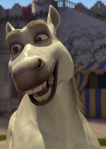 Stallion Donkey photo