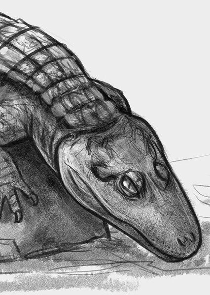 Stangerochampsa