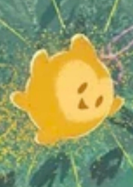 Star (Wish) photo