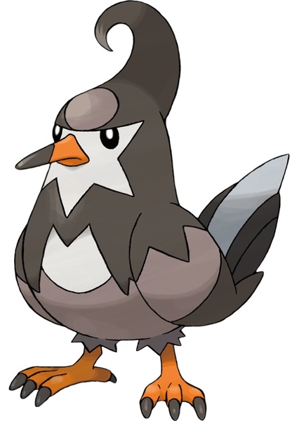 Staravia