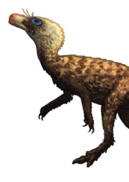 Staurikosaurus photo