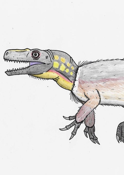 Staurikosaurus photo