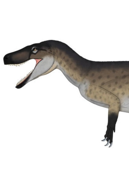 Staurikosaurus photo