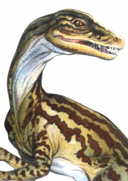 Staurikosaurus photo