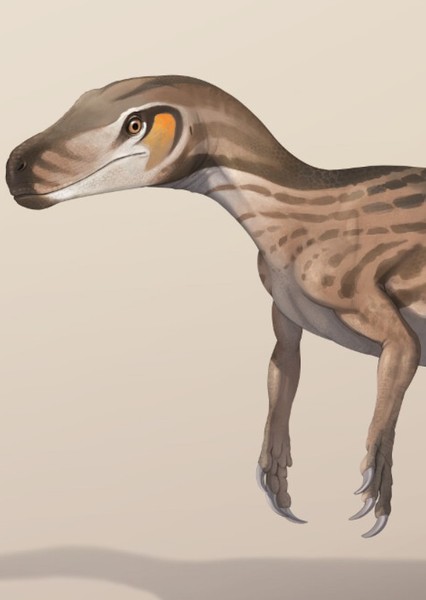 Staurikosaurus photo